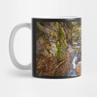 Canyon and river Mug